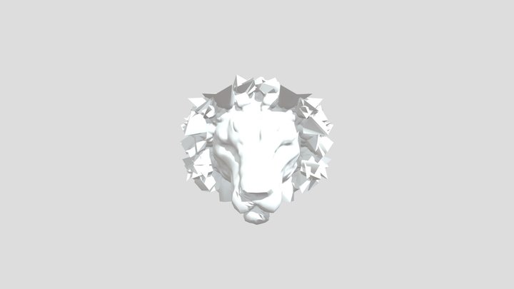 My model 3D Model