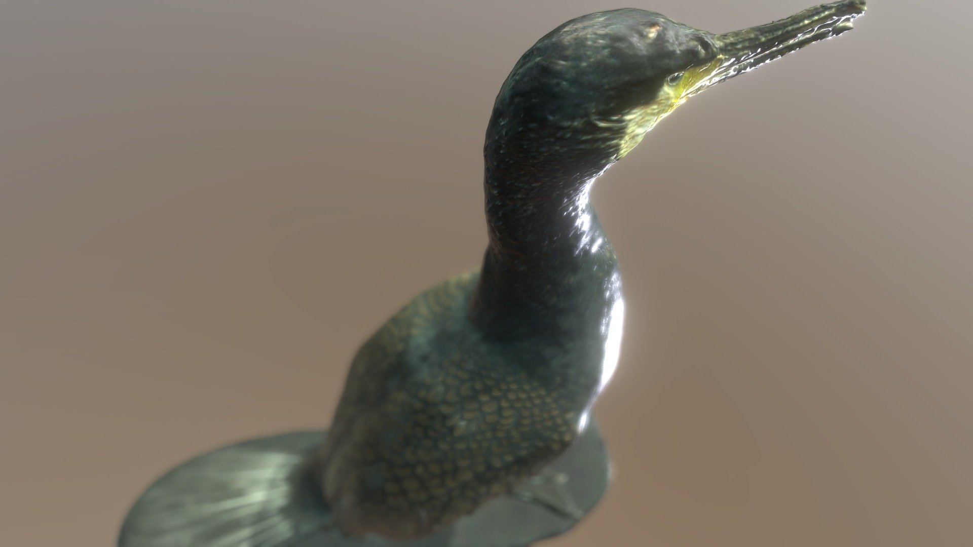 Баклан большой материковый | Great cormorant — Sketchfab embed 3D viewer