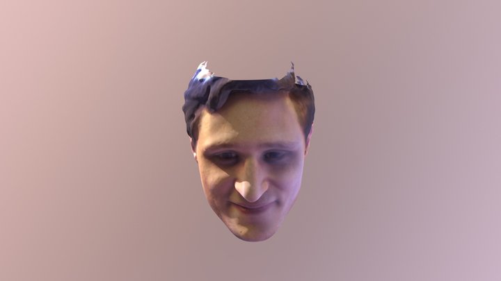 Face Model by Bellus3D 3D Model
