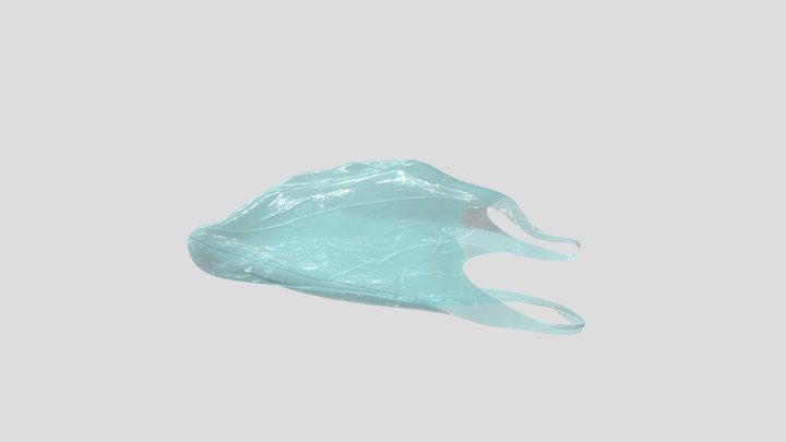 Plastic Bag 3D Model