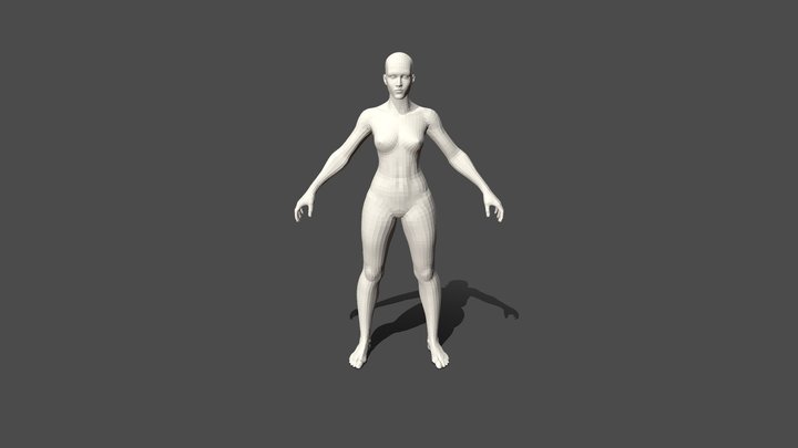 Stylized Female Anatomy, Overwatch style, rigged 3D Model