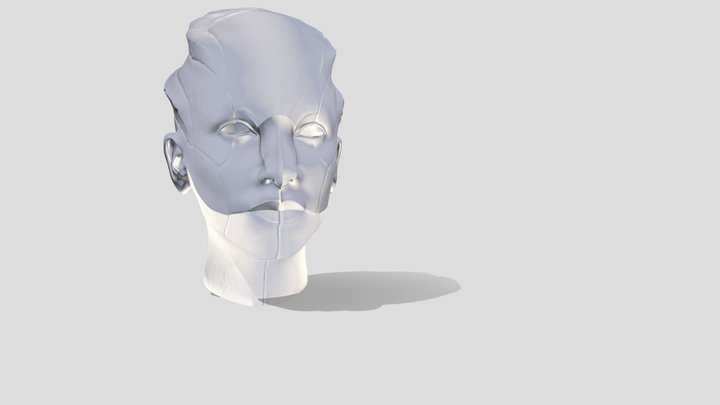 Female Cyborg Head 3D Model
