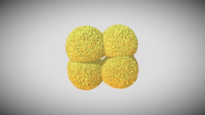 Coccus 3D models - Sketchfab