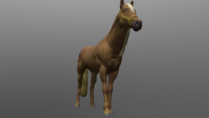 Cavalo marrom Lowpoly animado para jogos VR AR Modelo 3D - TurboSquid  2057665