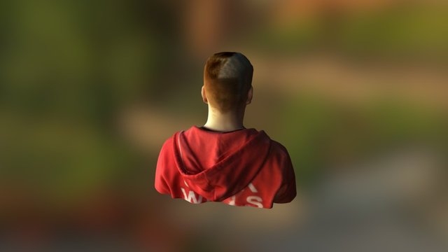 Stevie 3D Model