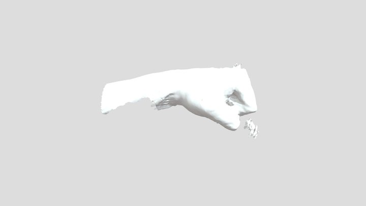 Hand 3D scan 3D Model