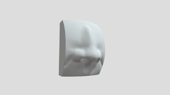 Final Nose 3D Model