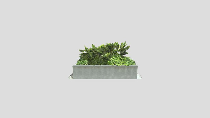 PLANTS 3D Model