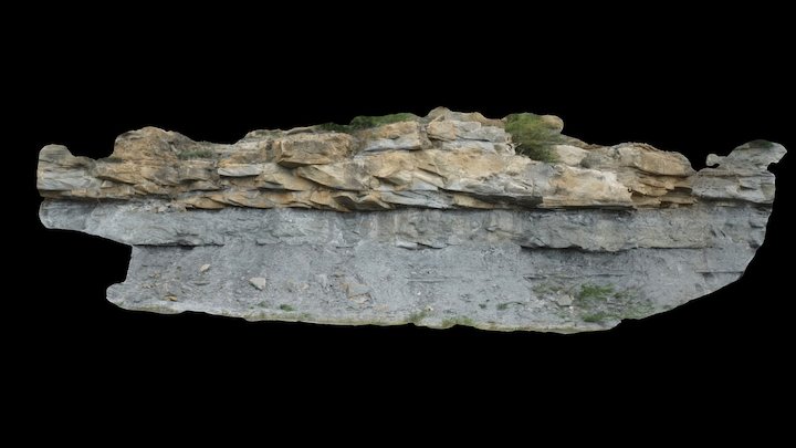 Tidal bar sandstones (Roda d'Isàbena) Loc1 3D Model