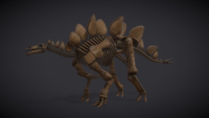 Museum Of Natural History | Stegosaurus 3D Model