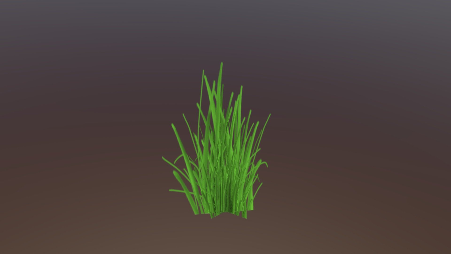 Grass - 3D model by n10189301 [d1b5de6] - Sketchfab