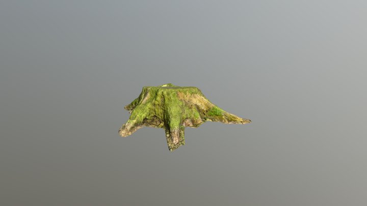 Forest tree stump 3D Model