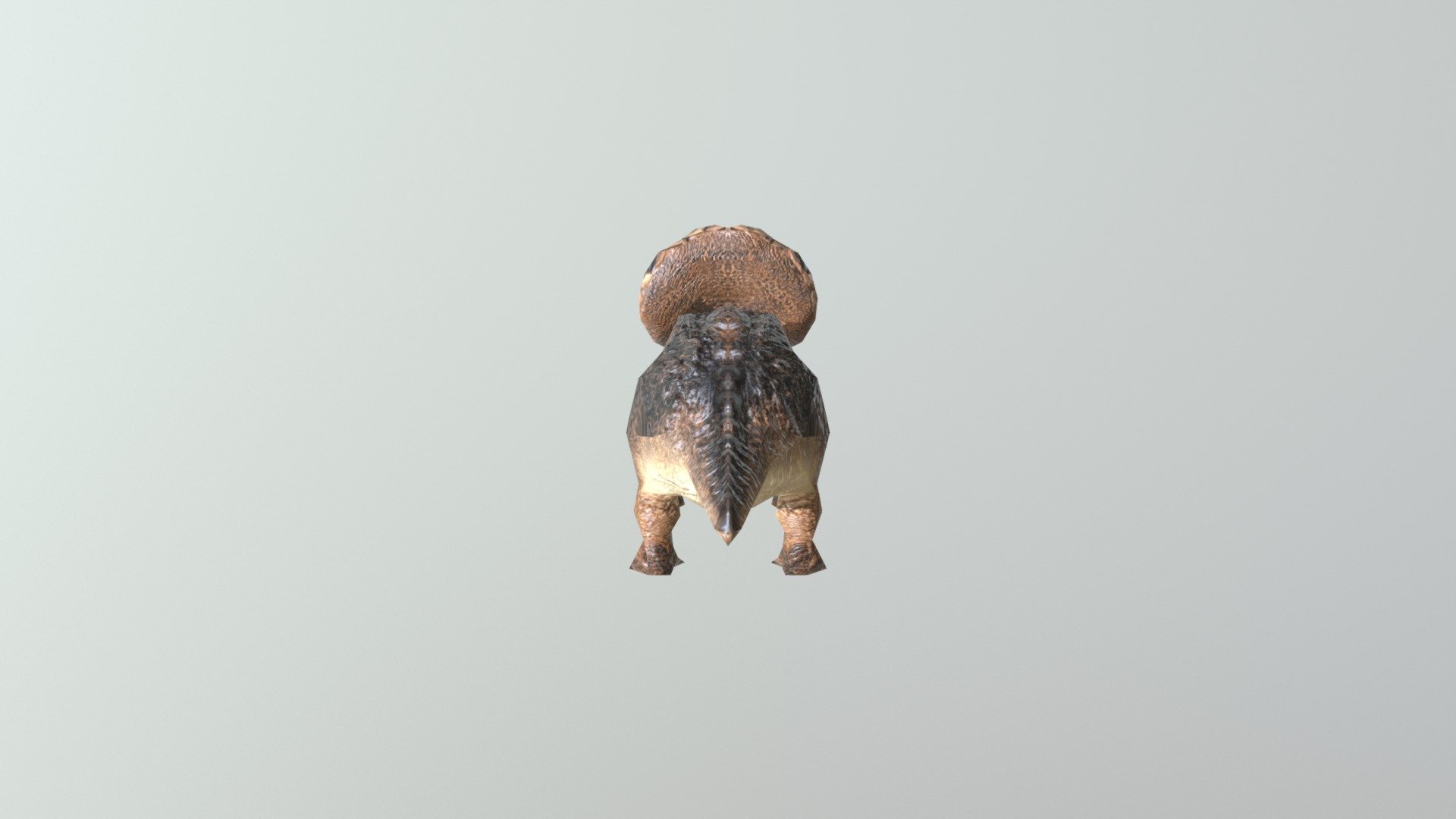 triceratops2
