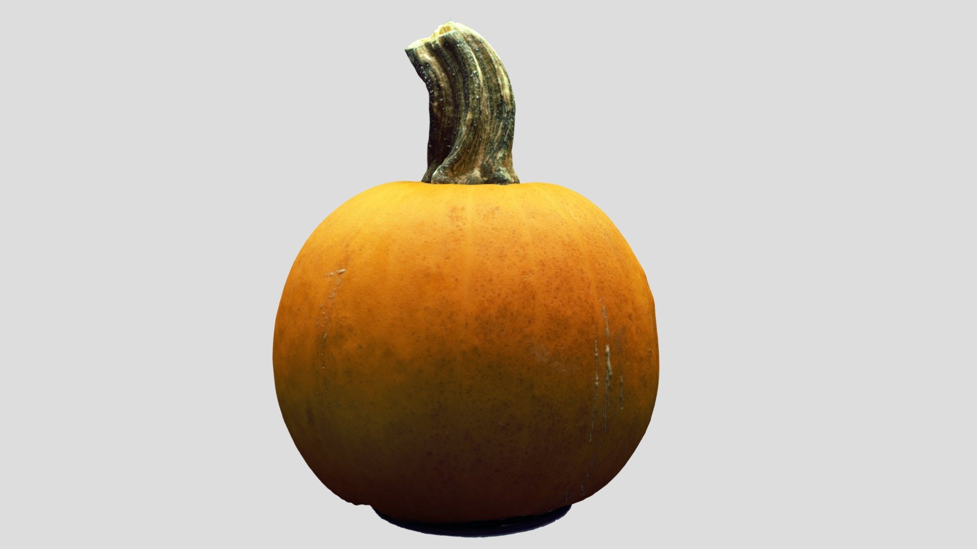 Pumpkin