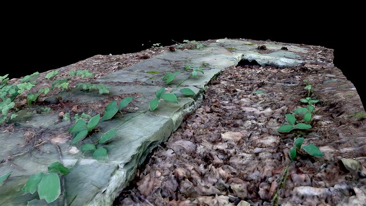 Old half buried stones 3D Model
