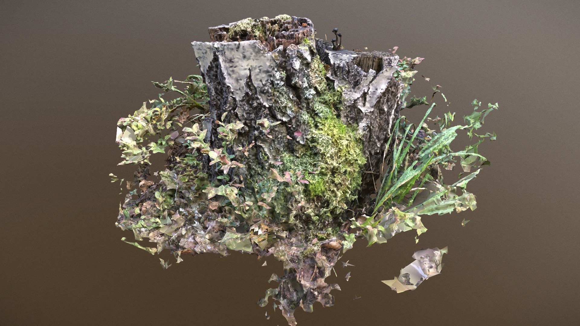 Rotten_Birch_Stump - Download Free 3D model by all3d_oy [d1c05b9 ...