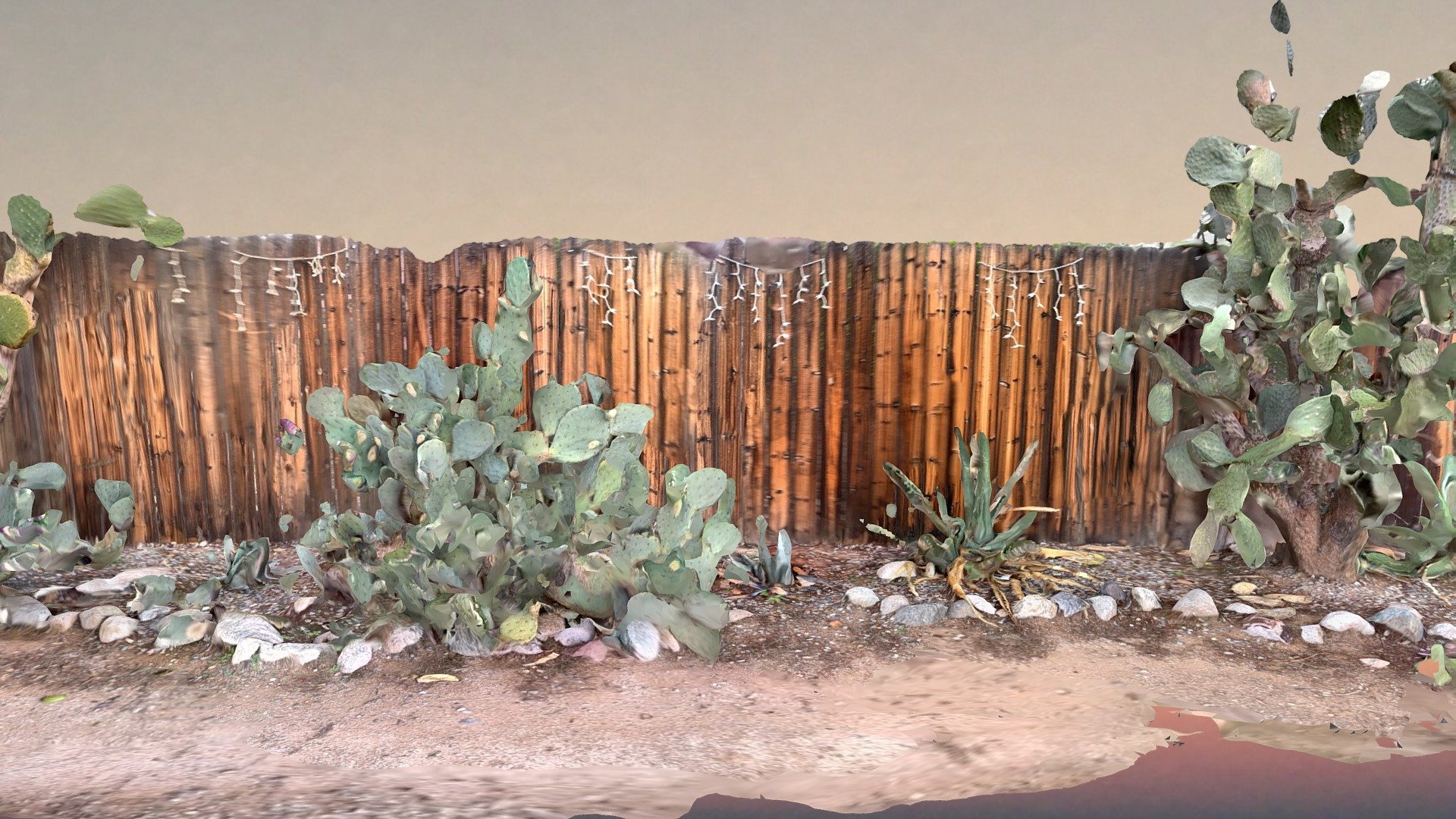 Arizona Landscaping