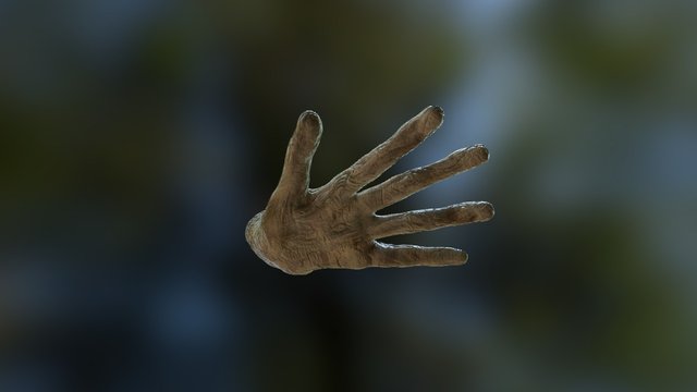 Wood Hand 3D Model