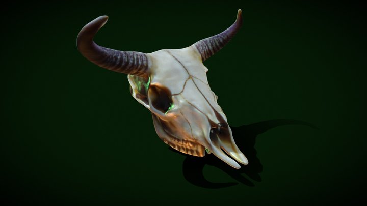 horned animal skull 3D Model