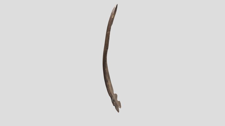 Costella1 3D Model