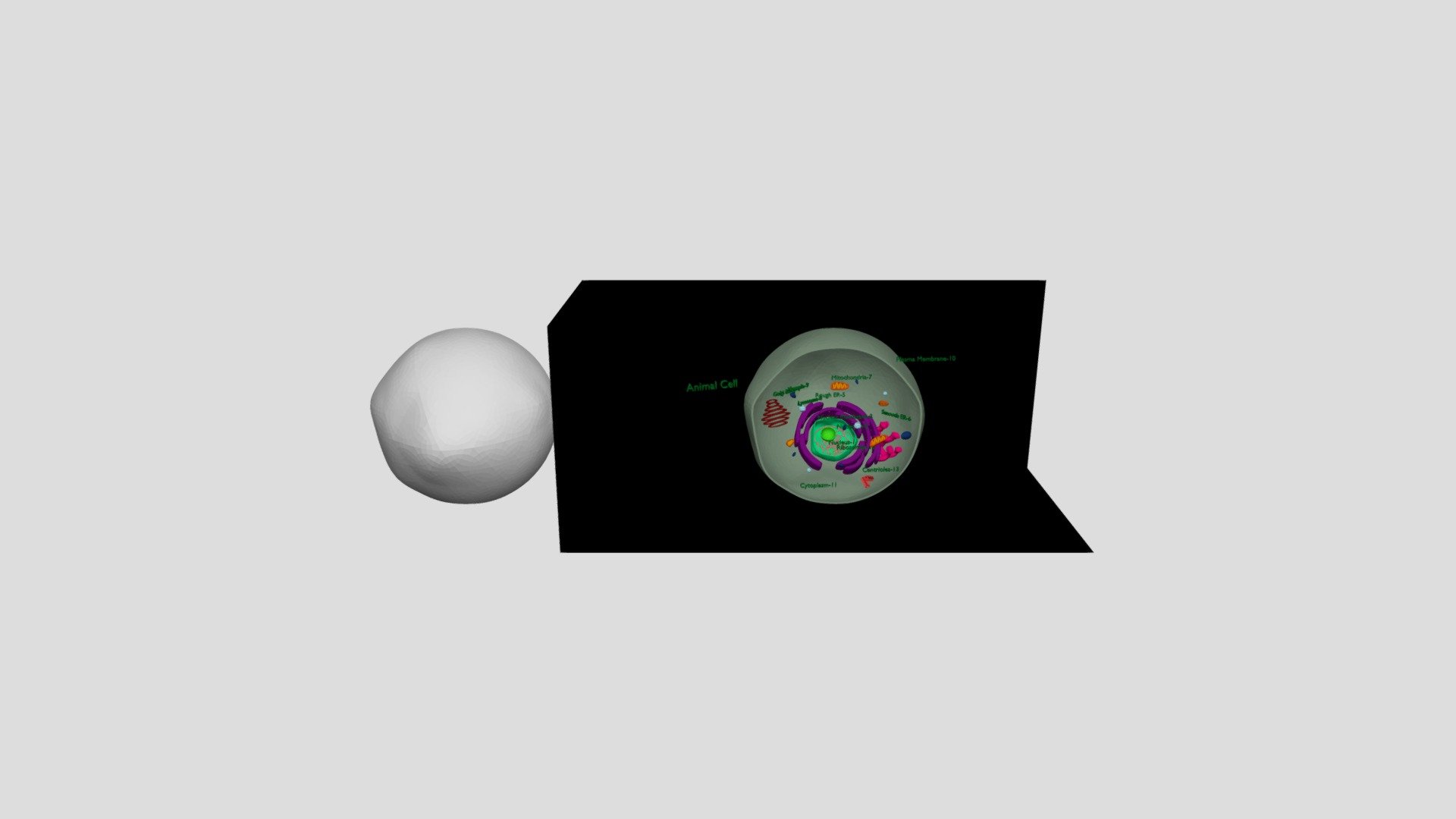 CELL PROJECT - 3D model by mungojerry [d1c1999] - Sketchfab
