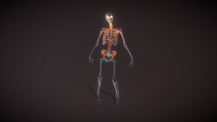 Monsters - Skeleton 3D Model