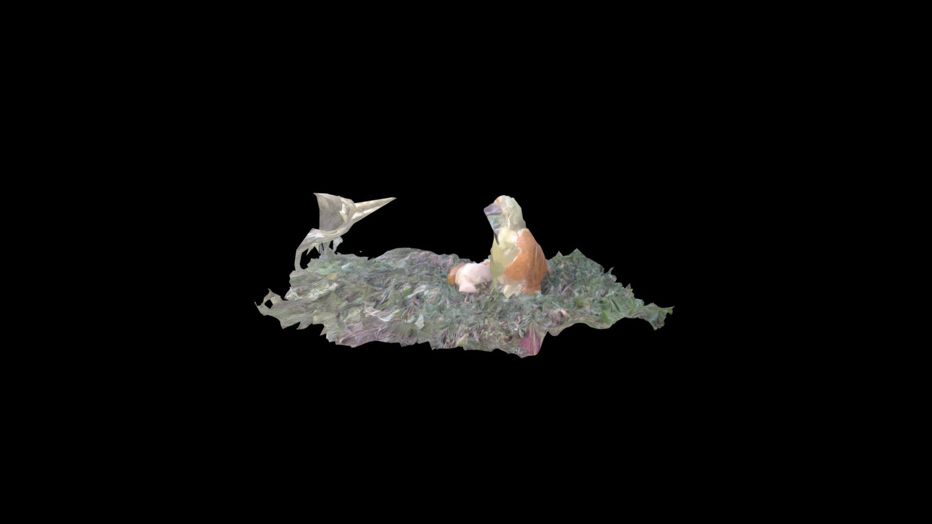Paloma 3D