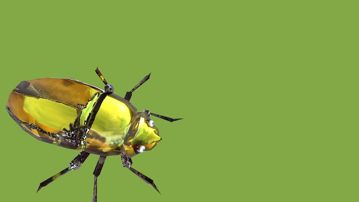 SURFACE BUG 3D Model