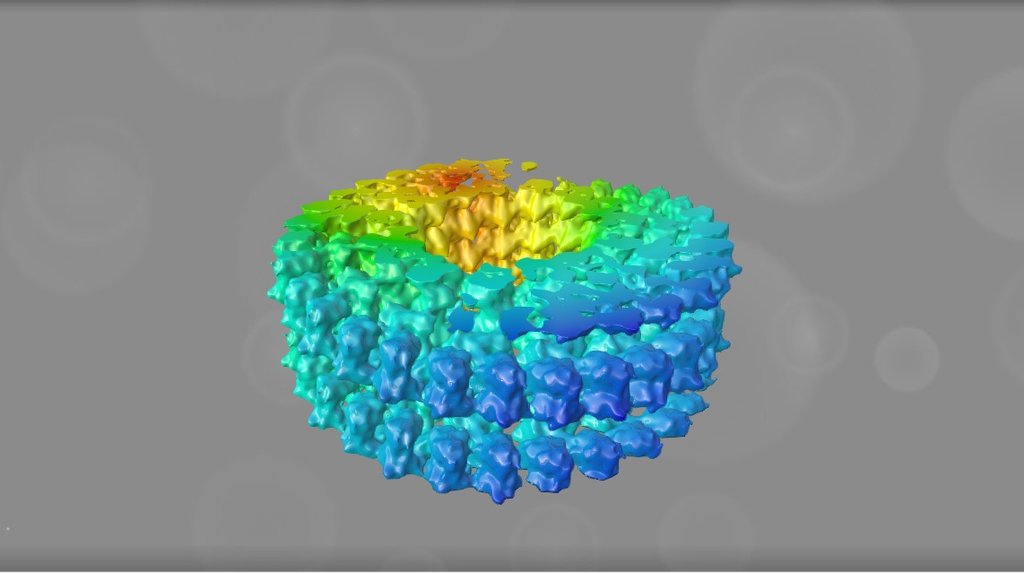 EMD 5565 - 3D model by Interactive 3D Data (@proteinsimulation ...