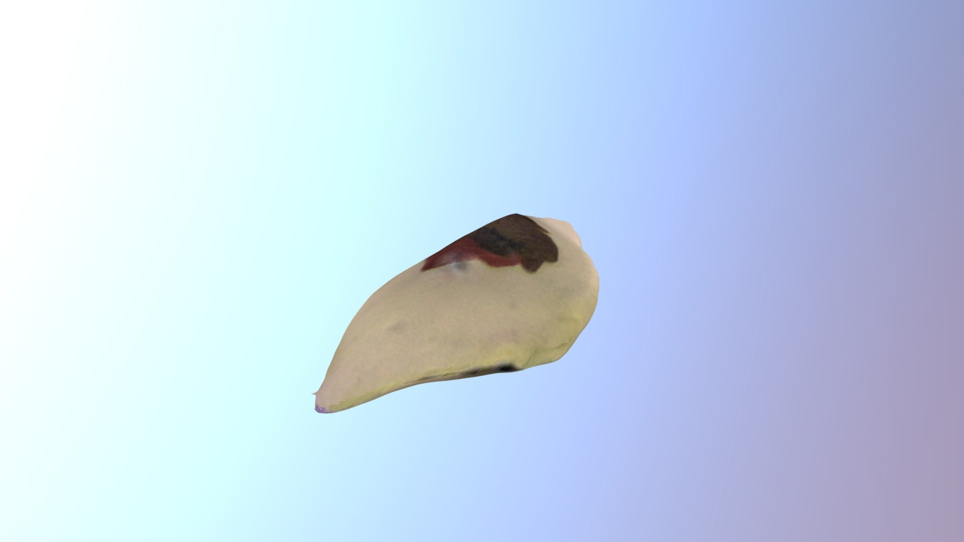 New Qlone