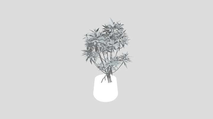 Honey Spurge Bush Med Plant Potted – Free 3D Model STL