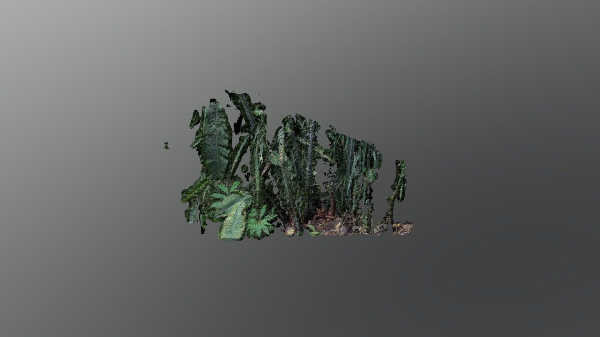 Jungle1 - 3D model by leonardgarcia [d1ceda3] - Sketchfab