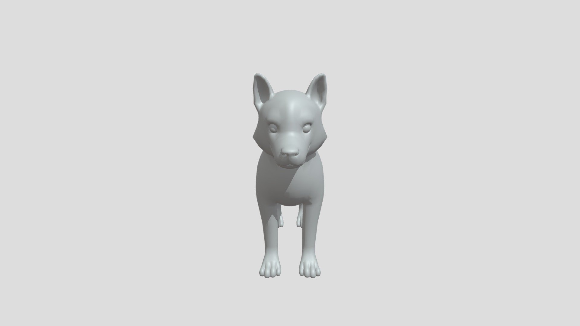 Husky Puppy