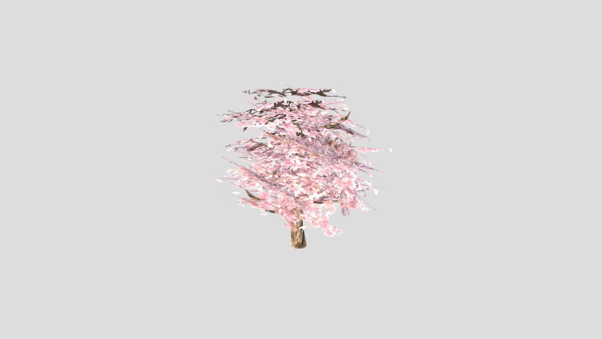 Blossom Tree