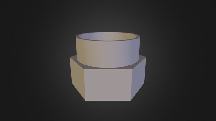 Buttoncase 3D Model