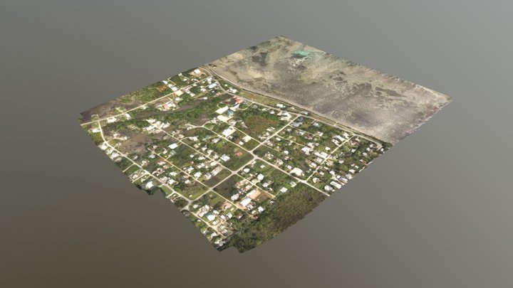 Sopu Tonga 3D Model