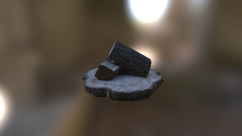3D Scan - Logs