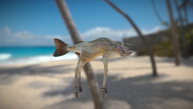 Poisson-girafe 3D Model
