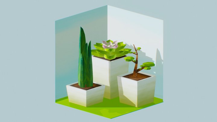 Some Plants 3D Model