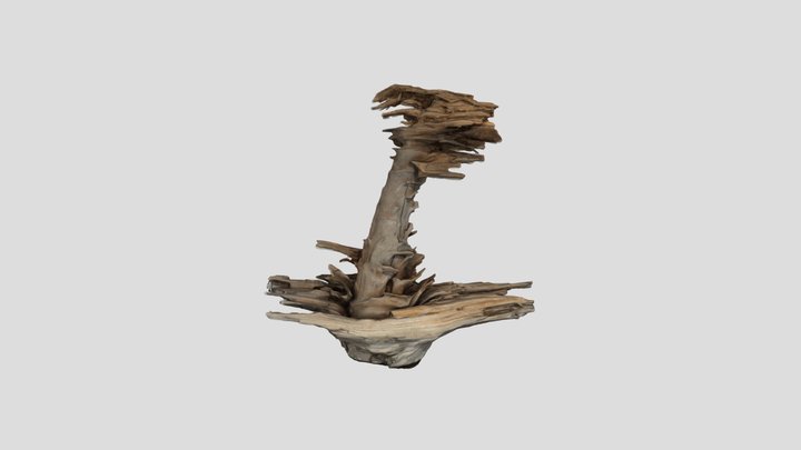 Tree Branch 3D Model