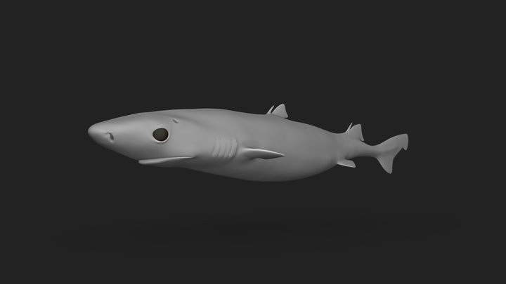 Great lanternshark (Etmopterus princeps) 3D Model