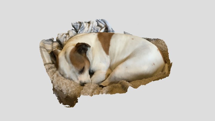 Missy Sleeps 3D Model