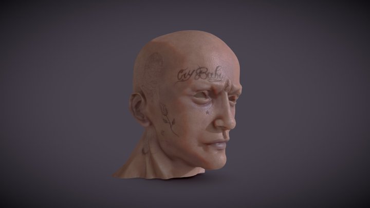 FACE 3D Model