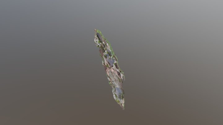 piedras tacitas2 3D Model