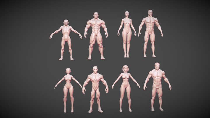 Human Base Mesh Pack Realistic Stylized 3D Model
