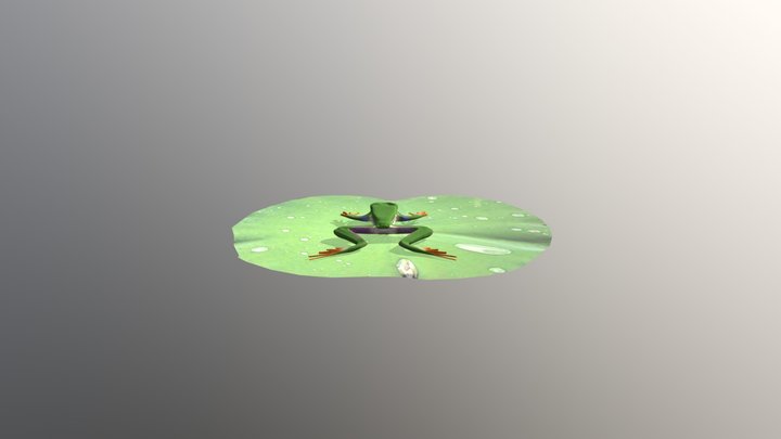 Con Ếch 3D thầy Hoàng 3D Model