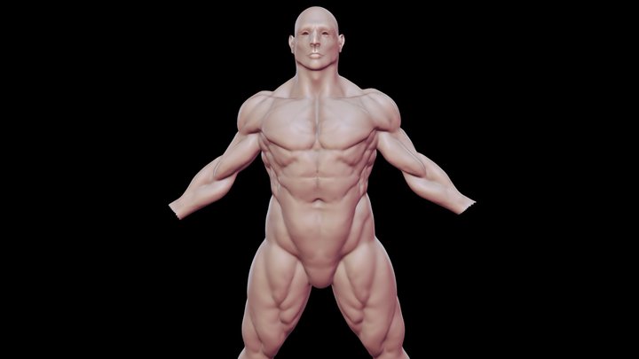 Male Base 3D Model