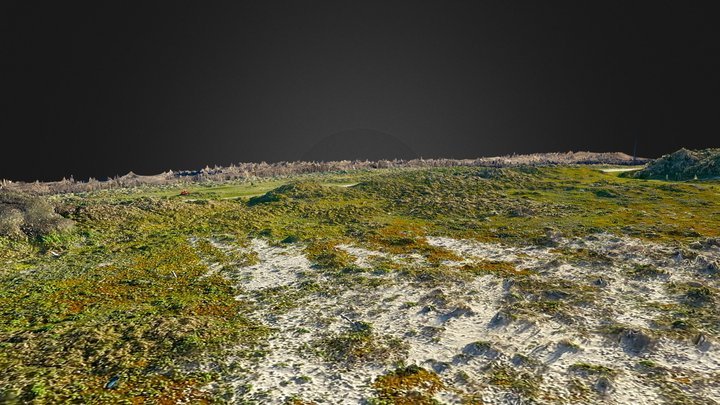 Dune and marsh 3D Model
