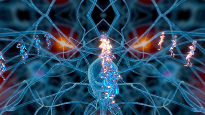 Let the neurons dance ! 3D Model