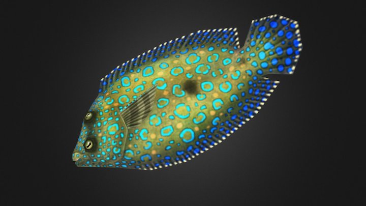 Peacock Flounder 3D Model